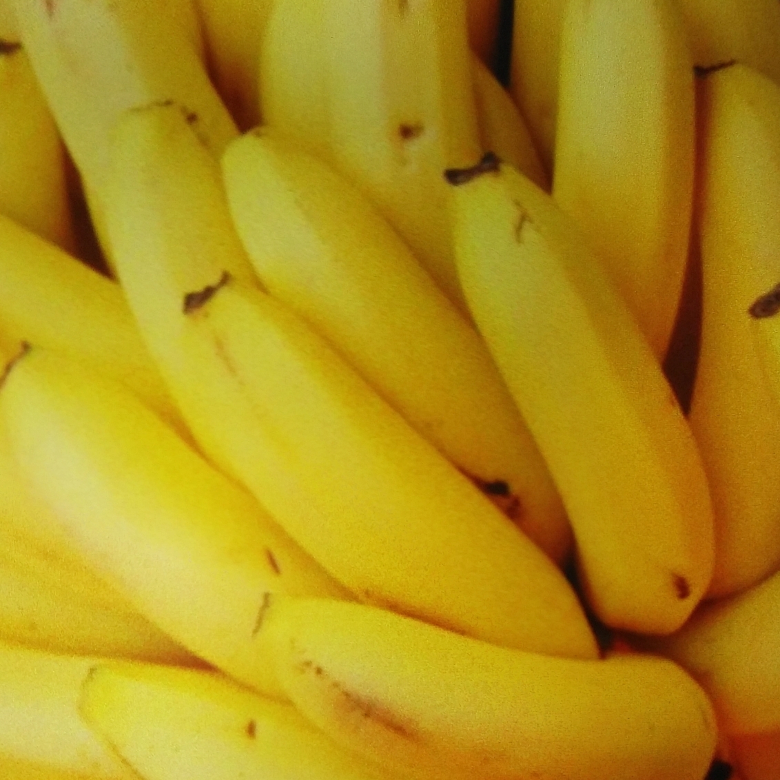 ファミマのめっちゃバナナです。って？カロリー･値段や味について！11